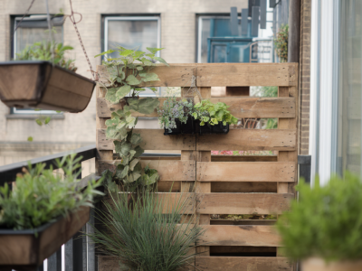 Wie du mit einer paletten‑sichtschutzwand und hängenden pflanzgefäßen auf kleinem balkon sofort mehr privatheit schaffst